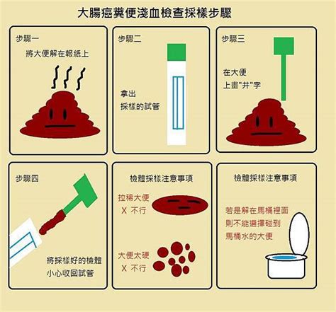 採到大便|糞便檢查